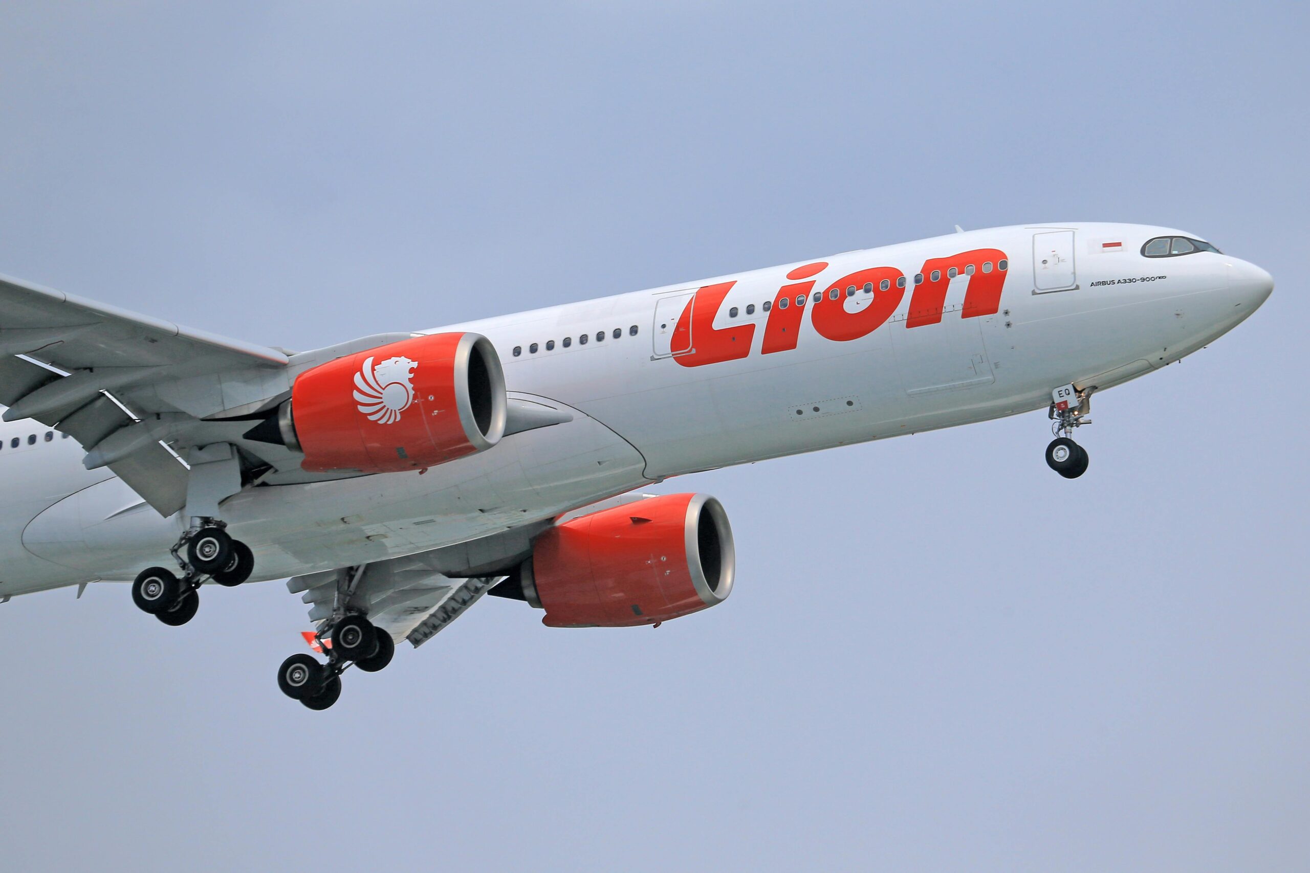 A Lion-branded commercial airplane in flight with a clear blue sky background, showcasing modern aviation.